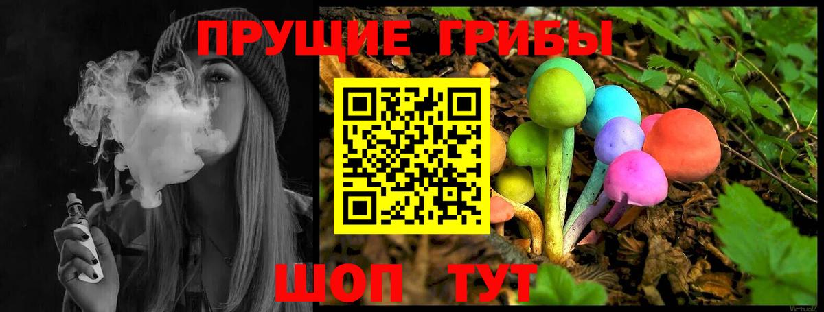 Галлюциногенные грибы MAGIC MUSHROOMS  Галлюциногенные грибы GOLDEN TEACHER  Вход с VPN  наркошоп  Нарьян-Мар 